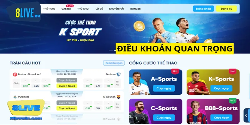 Quy Định Sử Dụng Website 8live Tổng hợp quy định sử dụng website tại nhà cái 8LIVE